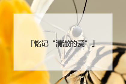 铭记“清澈的爱”