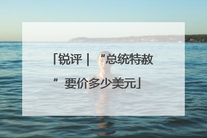 锐评｜“总统特赦”要价多少美元