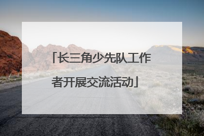 长三角少先队工作者开展交流活动