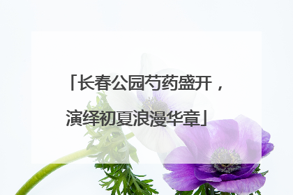 长春公园芍药盛开，演绎初夏浪漫华章