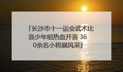 长沙市十一运会武术比赛少年组热血开赛 360余名小将展风采