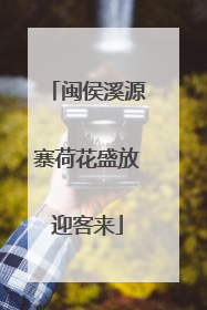 闽侯溪源寨荷花盛放迎客来