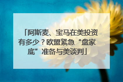 阿斯麦、宝马在美投资有多少？欧盟紧急“盘家底”准备与美谈判
