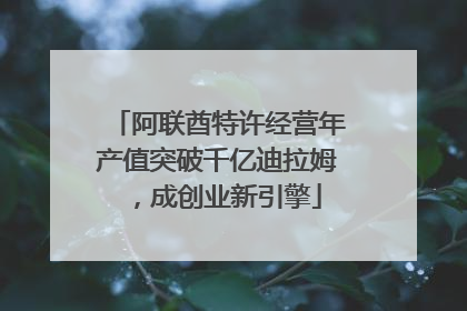 阿联酋特许经营年产值突破千亿迪拉姆，成创业新引擎