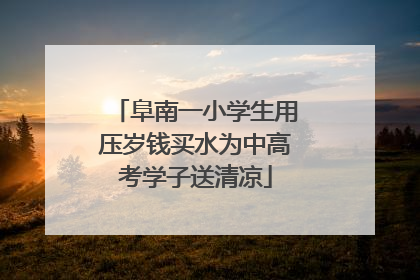 阜南一小学生用压岁钱买水为中高考学子送清凉
