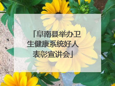 阜南县举办卫生健康系统好人表彰宣讲会