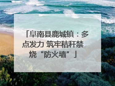阜南县鹿城镇：多点发力 筑牢秸秆禁烧“防火墙”