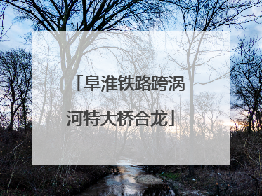 阜淮铁路跨涡河特大桥合龙