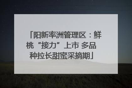 阳新率洲管理区：鲜桃“接力”上市 多品种拉长甜蜜采摘期