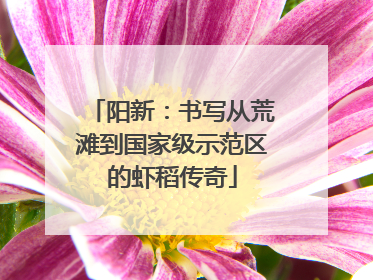 阳新：书写从荒滩到国家级示范区的虾稻传奇