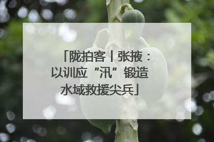 陇拍客丨张掖：以训应“汛”锻造水域救援尖兵