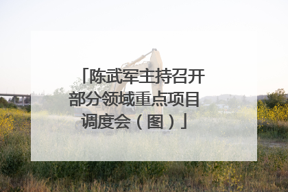 陈武军主持召开部分领域重点项目调度会（图）