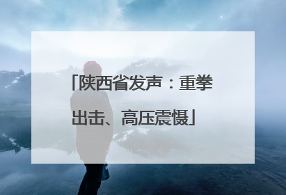 陕西省发声：重拳出击、高压震慑