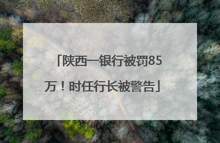 陕西一银行被罚85万！时任行长被警告