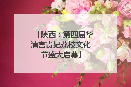 陕西：第四届华清宫贵妃荔枝文化节盛大启幕