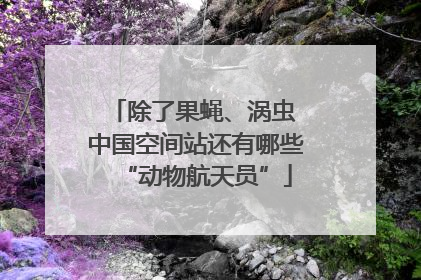 除了果蝇、涡虫 中国空间站还有哪些“动物航天员”
