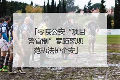 零陵公安“项目警官制”零距离规范执法护企安