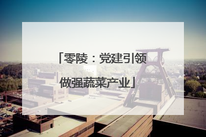 零陵：党建引领 做强蔬菜产业