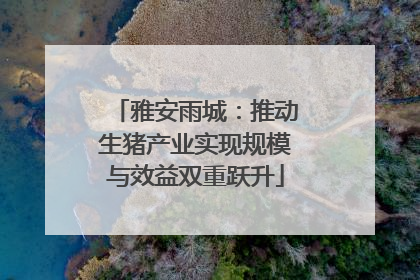 雅安雨城：推动生猪产业实现规模与效益双重跃升