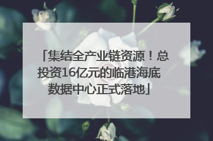 集结全产业链资源！总投资16亿元的临港海底数据中心正式落地