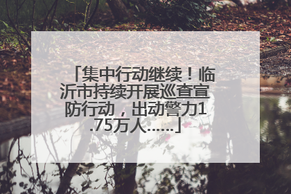 集中行动继续！临沂市持续开展巡查宣防行动，出动警力1.75万人……