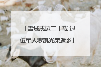 雪域戍边二十载 退伍军人罗凯光荣返乡