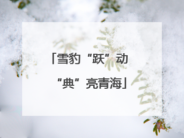 雪豹“跃”动 “典”亮青海