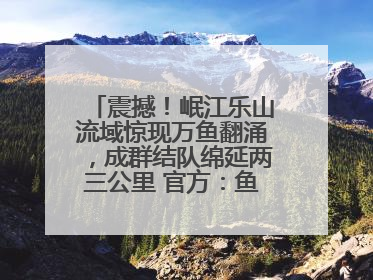 震撼！岷江乐山流域惊现万鱼翻涌，成群结队绵延两三公里 官方：鱼群在此产卵