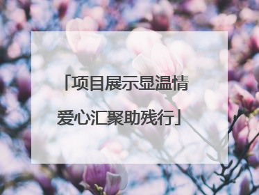 项目展示显温情 爱心汇聚助残行