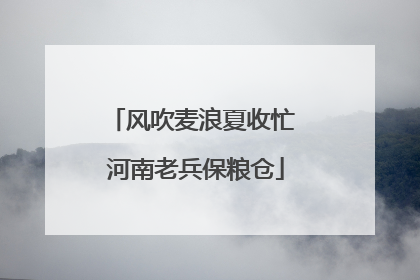 风吹麦浪夏收忙 河南老兵保粮仓