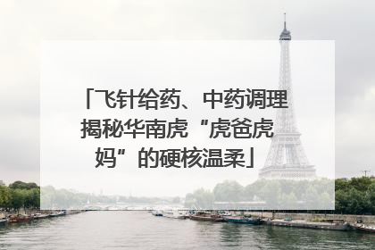 飞针给药、中药调理 揭秘华南虎“虎爸虎妈”的硬核温柔
