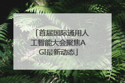 首届国际通用人工智能大会聚焦AGI最新动态