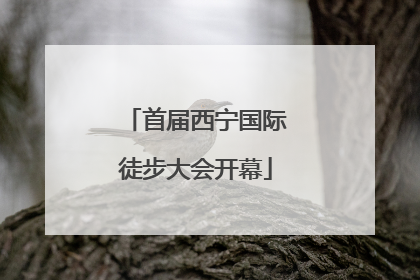 首届西宁国际徒步大会开幕