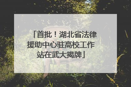 首批！湖北省法律援助中心驻高校工作站在武大揭牌