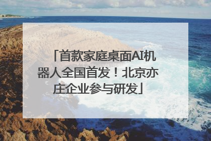 首款家庭桌面AI机器人全国首发！北京亦庄企业参与研发