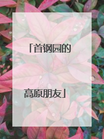 首钢园的高原朋友