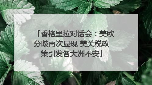 香格里拉对话会：美欧分歧再次显现 美关税政策引发各大洲不安
