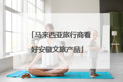 马来西亚旅行商看好安徽文旅产品