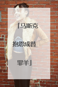 马斯克抱怨成替罪羊