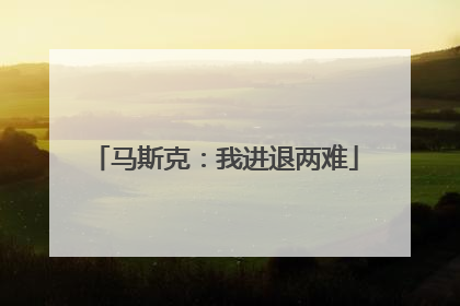 马斯克：我进退两难