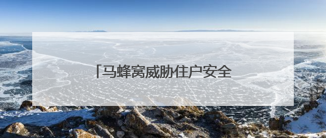 马蜂窝威胁住户安全 宣城消防成功摘除
