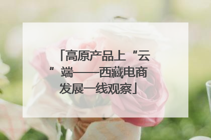 高原产品上“云”端——西藏电商发展一线观察