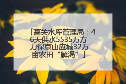 高关水库管理局：46天供水5535万方 力保京山应城32万亩农田“解渴”