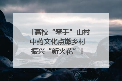 高校“牵手”山村 中药文化点燃乡村振兴“新火花”