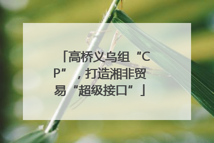 高桥义乌组“CP”，打造湘非贸易“超级接口”