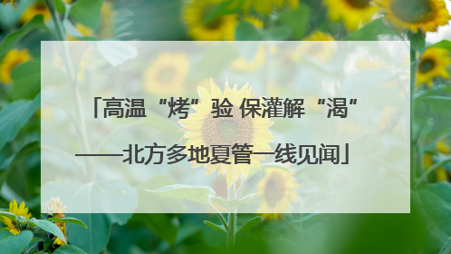 高温“烤”验 保灌解“渴”——北方多地夏管一线见闻