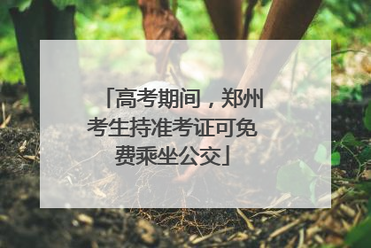 高考期间，郑州考生持准考证可免费乘坐公交