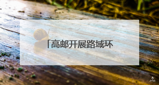 高邮开展路域环境、农村公路桥梁建设专项检查