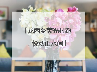 龙西乡荧光村跑，悦动山水间