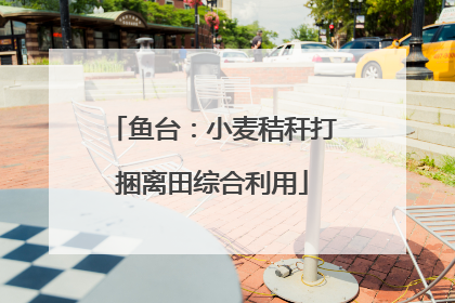 鱼台：小麦秸秆打捆离田综合利用